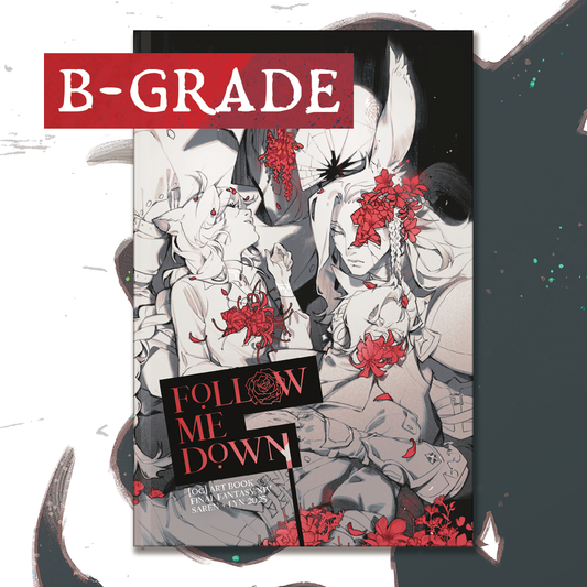 FOLLOW ME DOWN Hardcover (B-Grade)