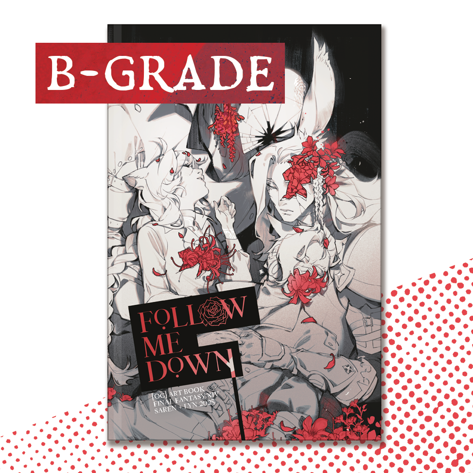 FOLLOW ME DOWN Hardcover (B-Grade)