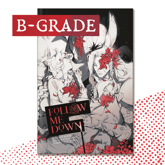 FOLLOW ME DOWN Hardcover (B-Grade)
